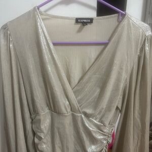 Dressy silvery top